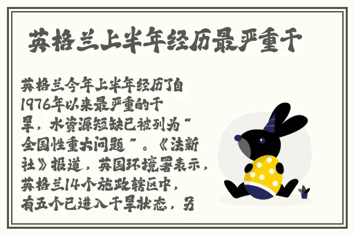 欧美人妖