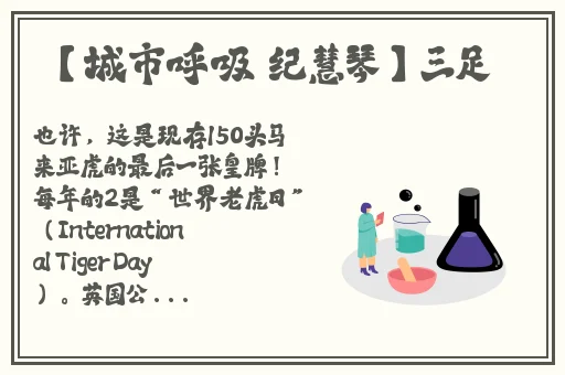 夏晴子沈娜娜中秋团圆意思