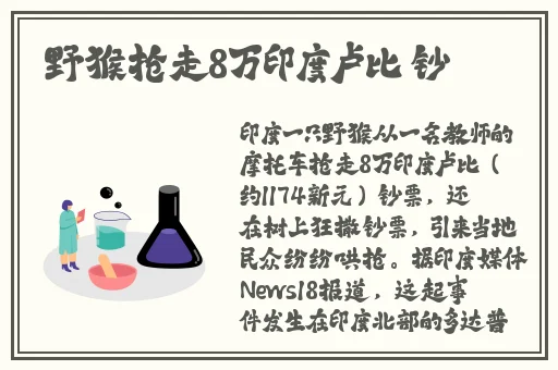 春雨资讯app