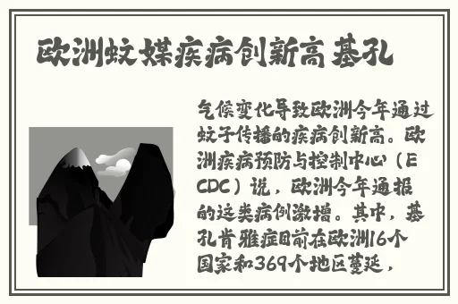 张津瑜三部曲在哪里